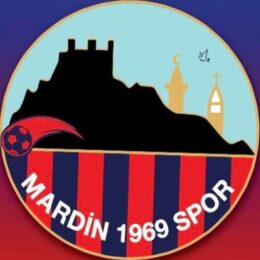 Mardin Token Fiyatı, Yorumu, Grafiği | 2022